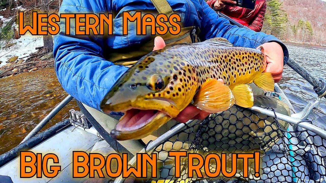 Fishing for BIG Wild Trout in a Western Mass Tailwater