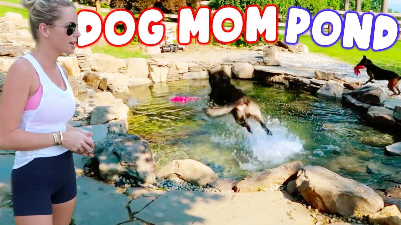 Pond Plants and the *PERFECT DOG POND*