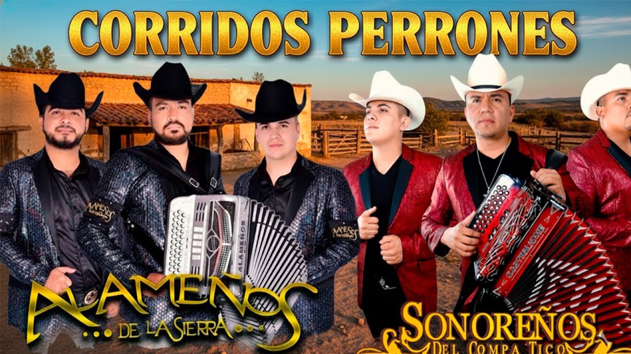 Puros Corridos Pesados 💥 Alameños de la Sierra x Sonoreños del Compa Tico | Mix Para Agarrar La Peda