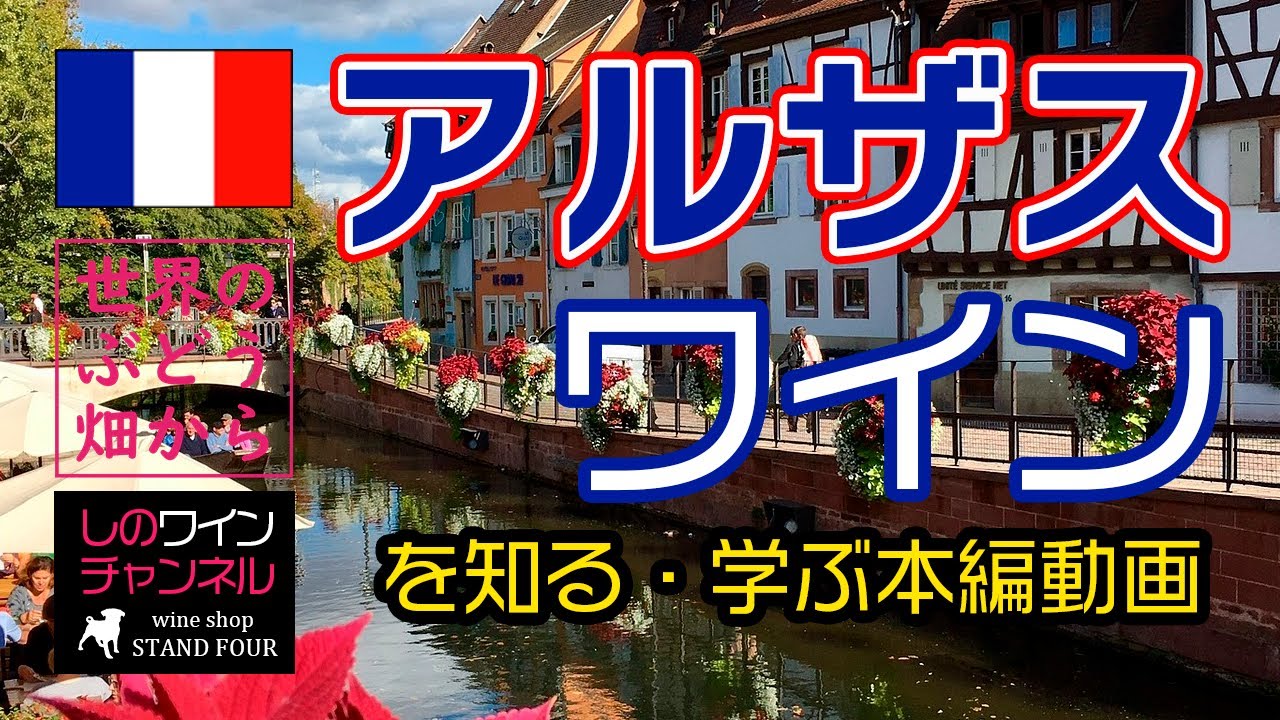 【フランス・アルザス地方】ワインを知る！学ぶ！本編動画（ヴァンドール） しのワインちゃんねる