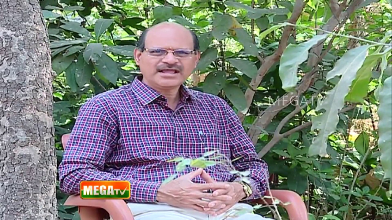 பித்தம் தெளிய முக்கியமான இரண்டு மருத்துவ குறிப்புகள் | ஆயுள் காக்கும் ஆயுர்வேதம் | Mega TV |