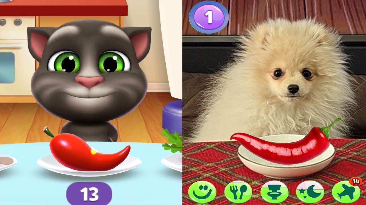 My Talking Tom 2 in Real Life VS The Game (So Similar!)