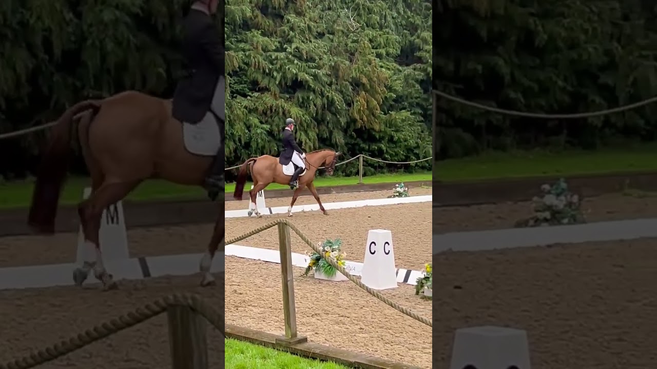 FEI CCI 2* Dressage test A. Winner - Corriebeg Supernova Bicton 2023