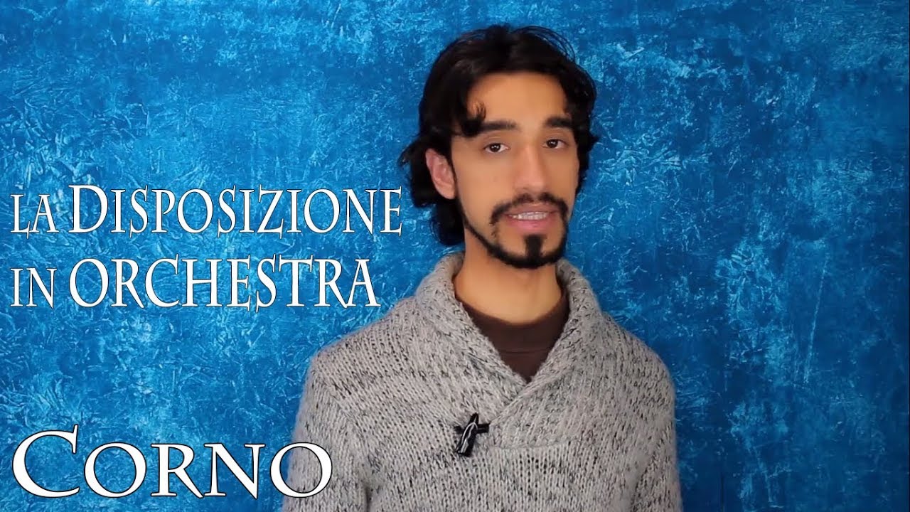 CORNO - la disposizione in orchestra