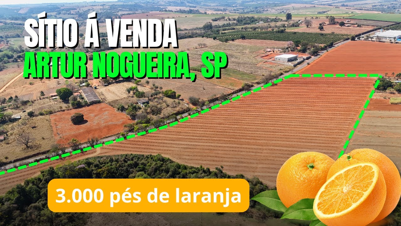🍊 DESCUBRA AGORA: Sítio Produtivo com 3.000 Pés de Laranja recém plantados em Artur Nogueira! 🏡💰