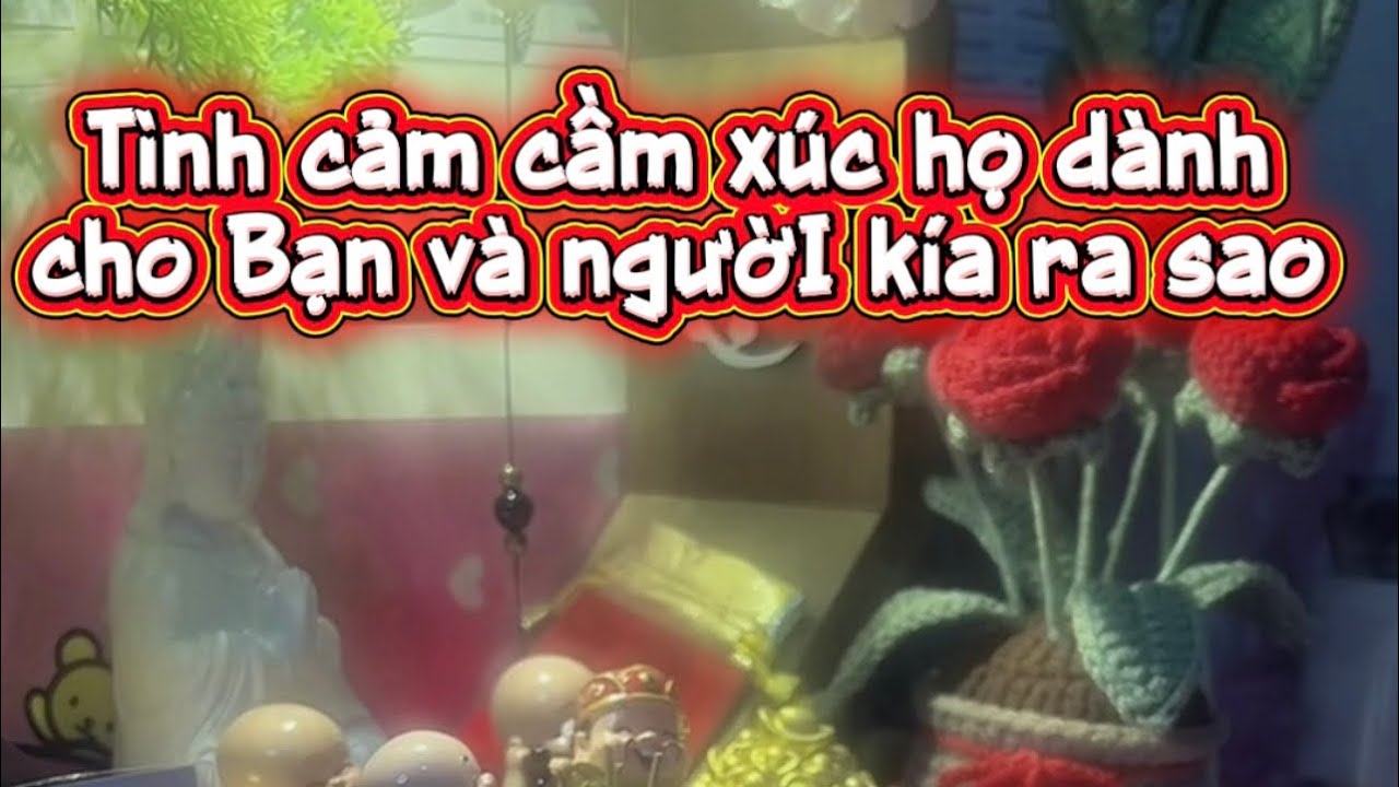 Tình cảm cảm xúc họ dành cho bạn với người kia ra sao