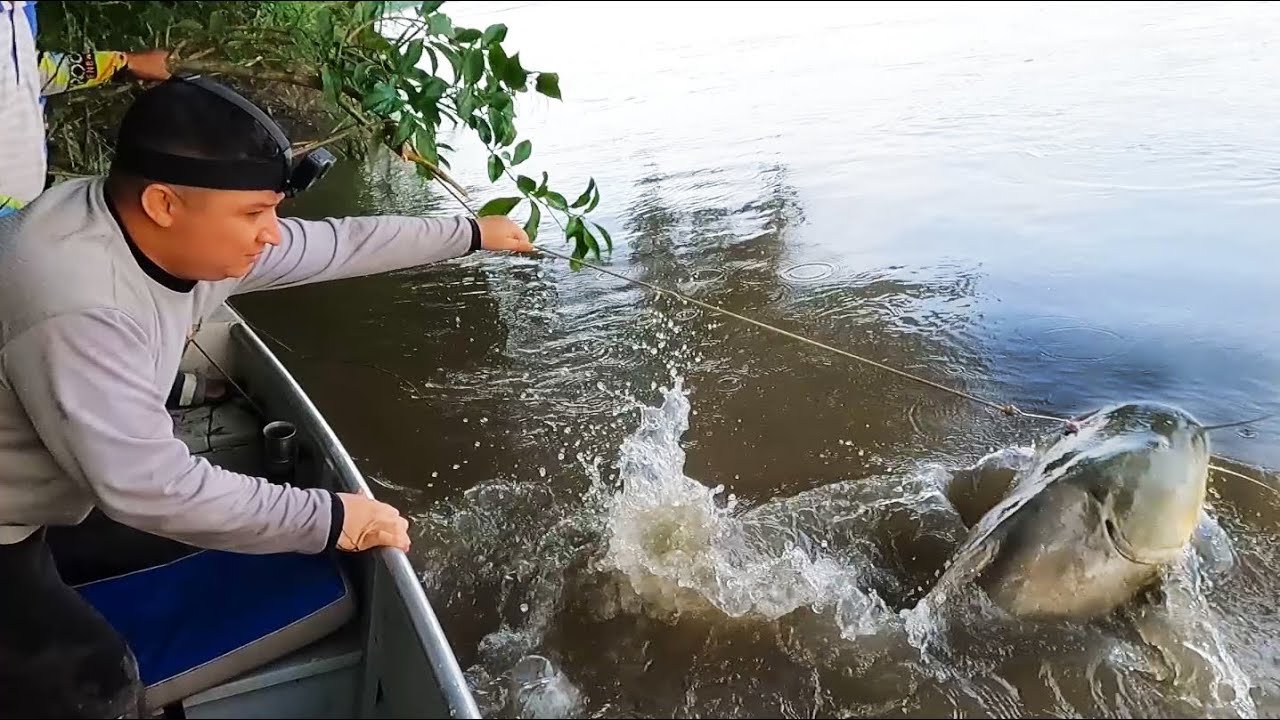 Después de un año volvimos a enfrentarnos a un pez monstruo. Pesca con anzuelo .