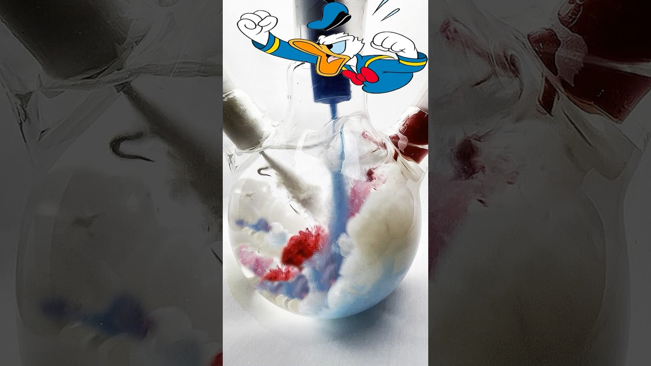 Donald Duck Inspired Color Palette 💙🤍🧡 