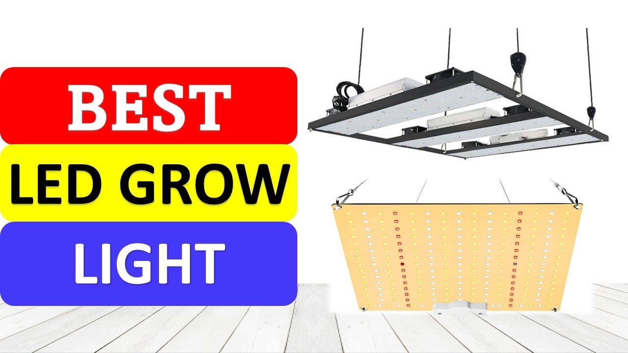 TOP 10 Best LED Grow Light in 2022