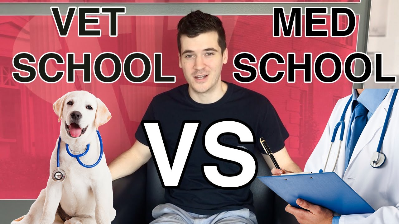 VET SCHOOL VS MED SCHOOL