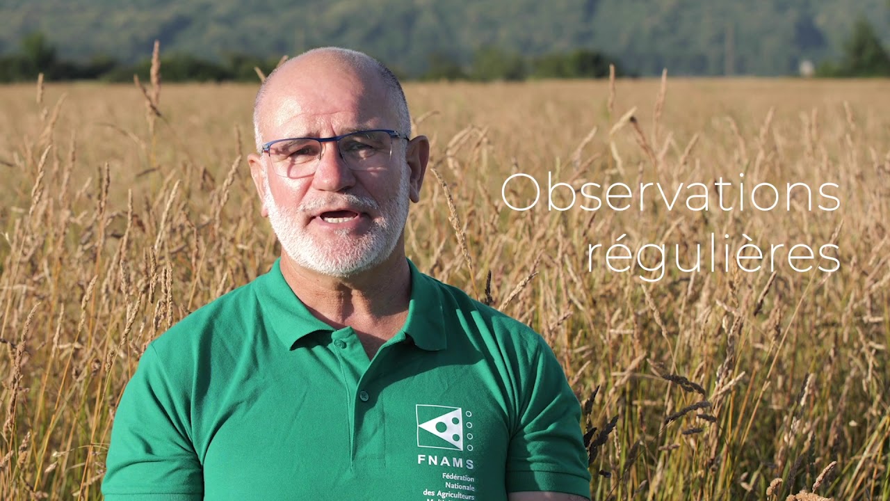 Fauchage-andainage sur fourragères porte-graine FNAMS