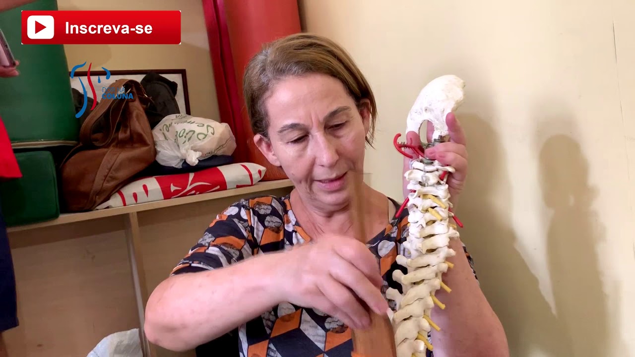 Curso Seitai Manual e Seitai Martelos - Corre&ccedil;&atilde;o da Giba T1, T2 e T3