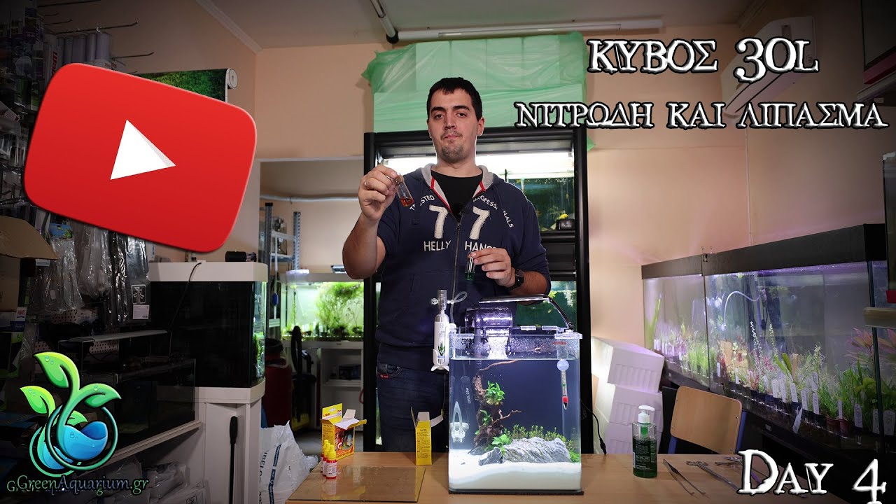 GreenAquarium.gr - Ενυδρείο 30L - 4η μέρα - Νιτρώδη και λίπασμα 4K