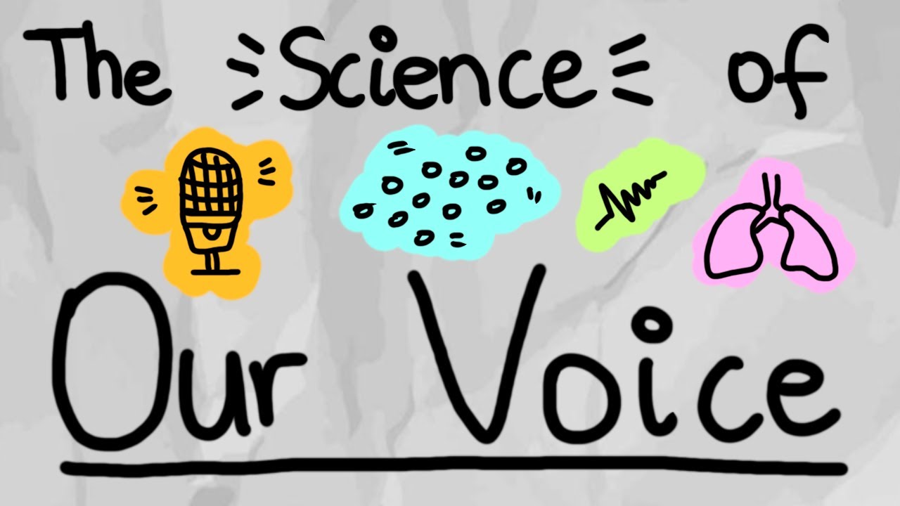 Why Do We Sound Different in Recordings?