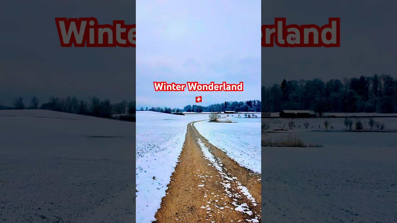 Swiss 🇨🇭 Winter Wonderland, Snow-Covered Bliss!