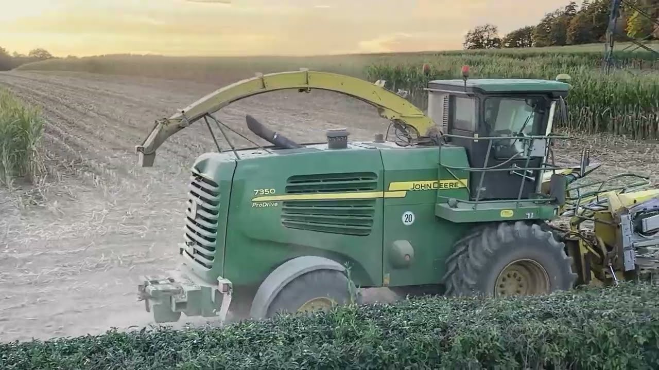 Maisernte September 2023 mit dem Maishäcksler John Deere.  Colheita de milho na Alemanha 2023