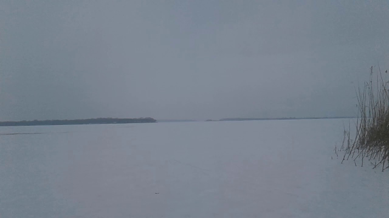 Липове. Лютий 2019