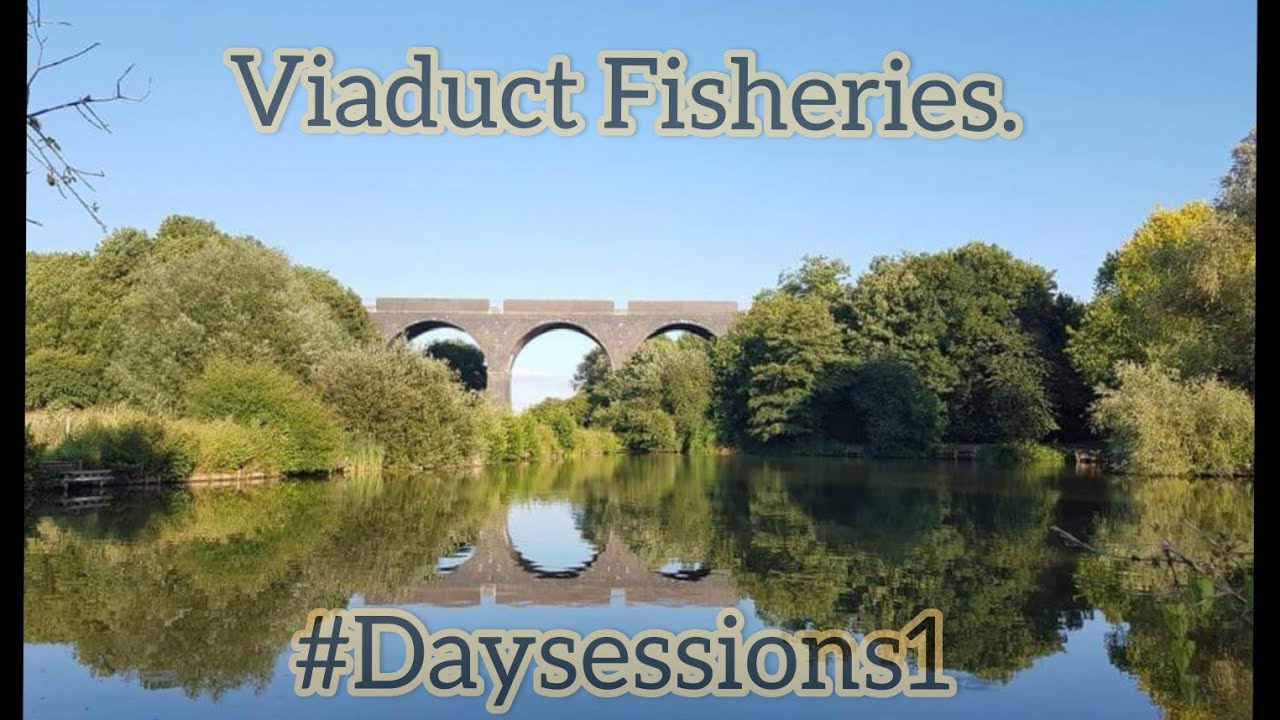 Viaduct Fisheries Somerton #daysessions1