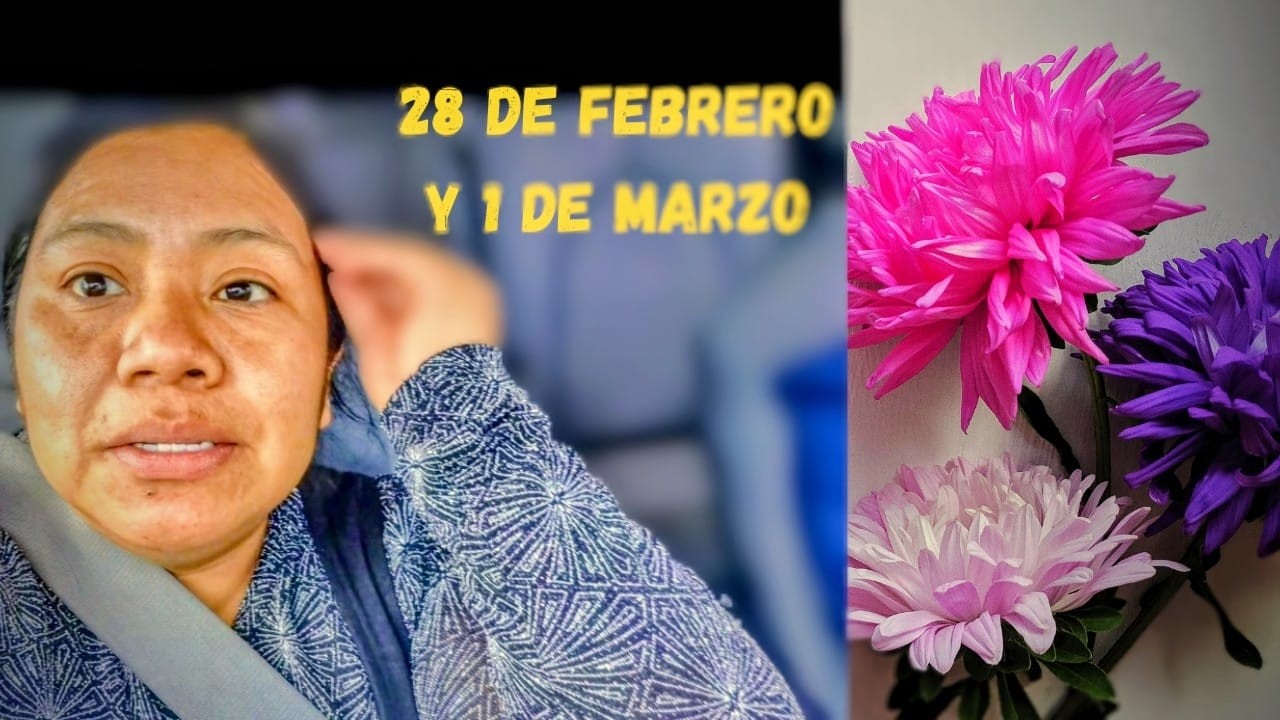 UN PEQUEÑO VLOG DEL 28 DE FEBRERO Y 1 DE MARZO
