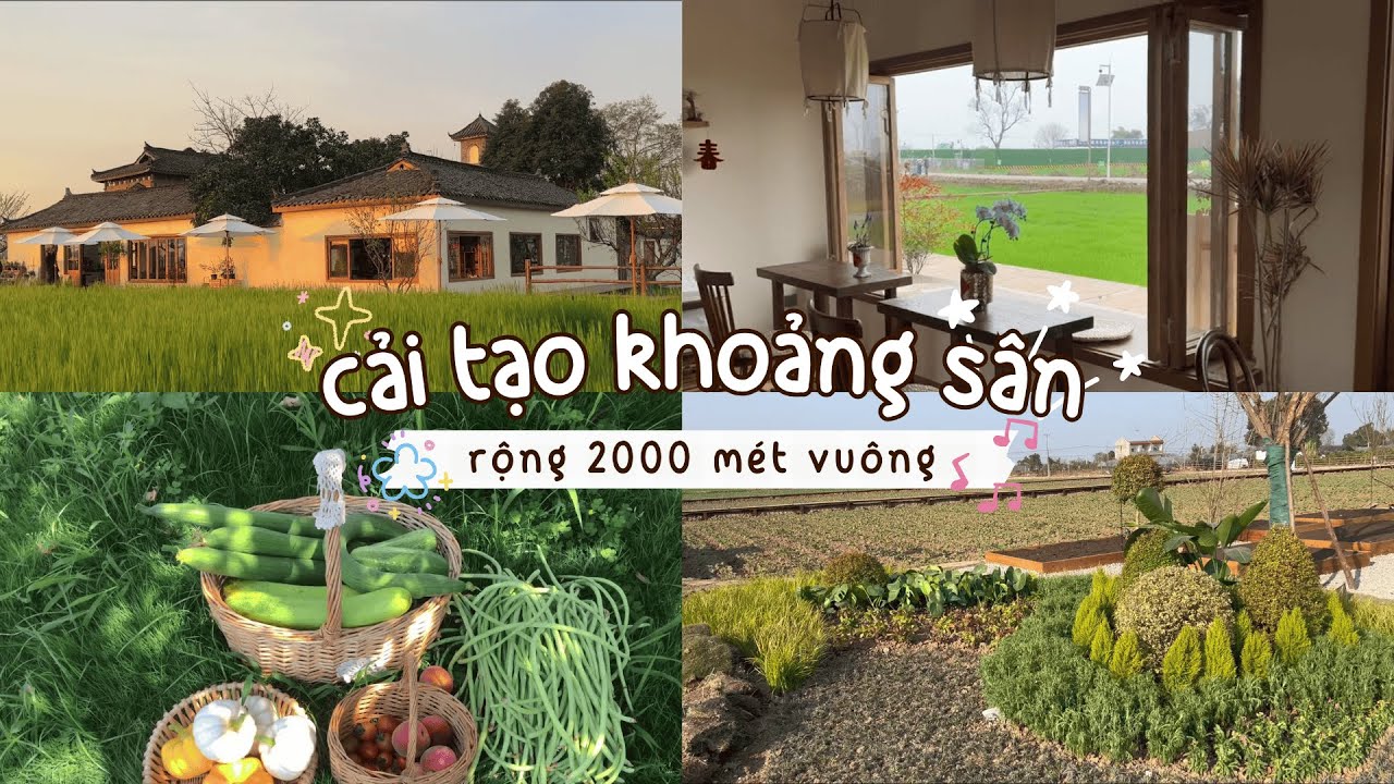 『P2』Cô gái 9x cải tạo khoảng sân 2000 mét vuông để có cuộc sống điền viên mơ ước #douyin #caitaonha