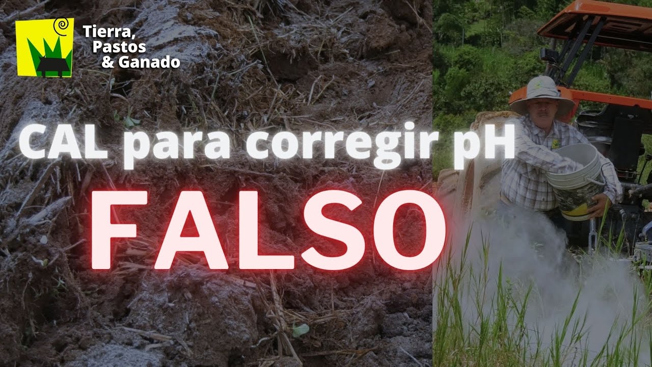 Lo que dicen de la CAL AGRÍCOLA es FALSO❌