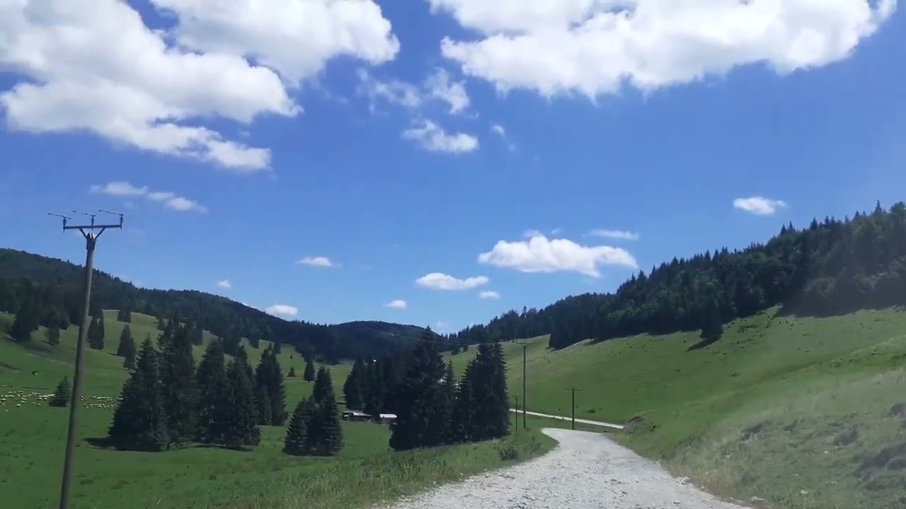 padis bihor(1)