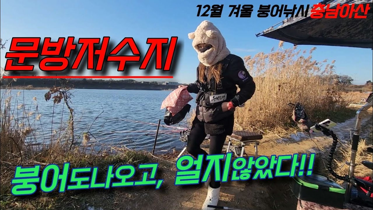 ⚠️⚠️문방저수지‼️12월 현재도 물낚시가능합니다‼️#fishing#붕어낚시#충남낚시# 문방 저수지#저수지낚시