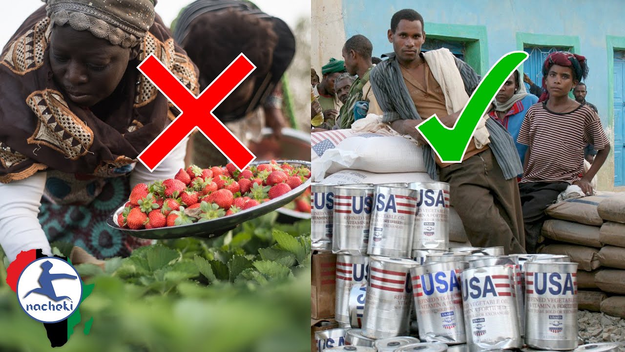 How the West Manufactured Africa's Food Crisis on Purpose