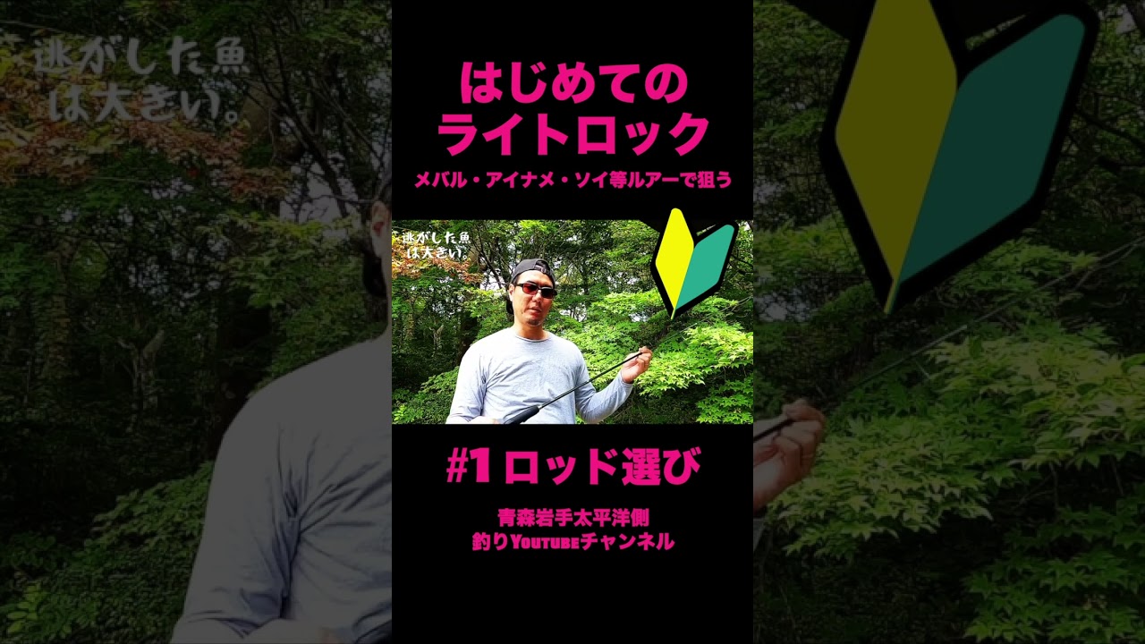 #はじめてのライトロック初心者講座 ロッド選び #ライトロック #ロックフィッシュ #海釣り #海釣り初心者 #ルアーフィッシング #釣り #ロッド選び