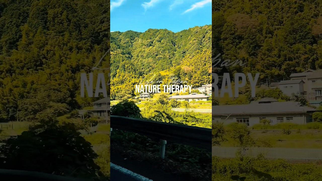 Lato w Japonii #lato #okitsuriver #CapCut #g&oacute;rafuji