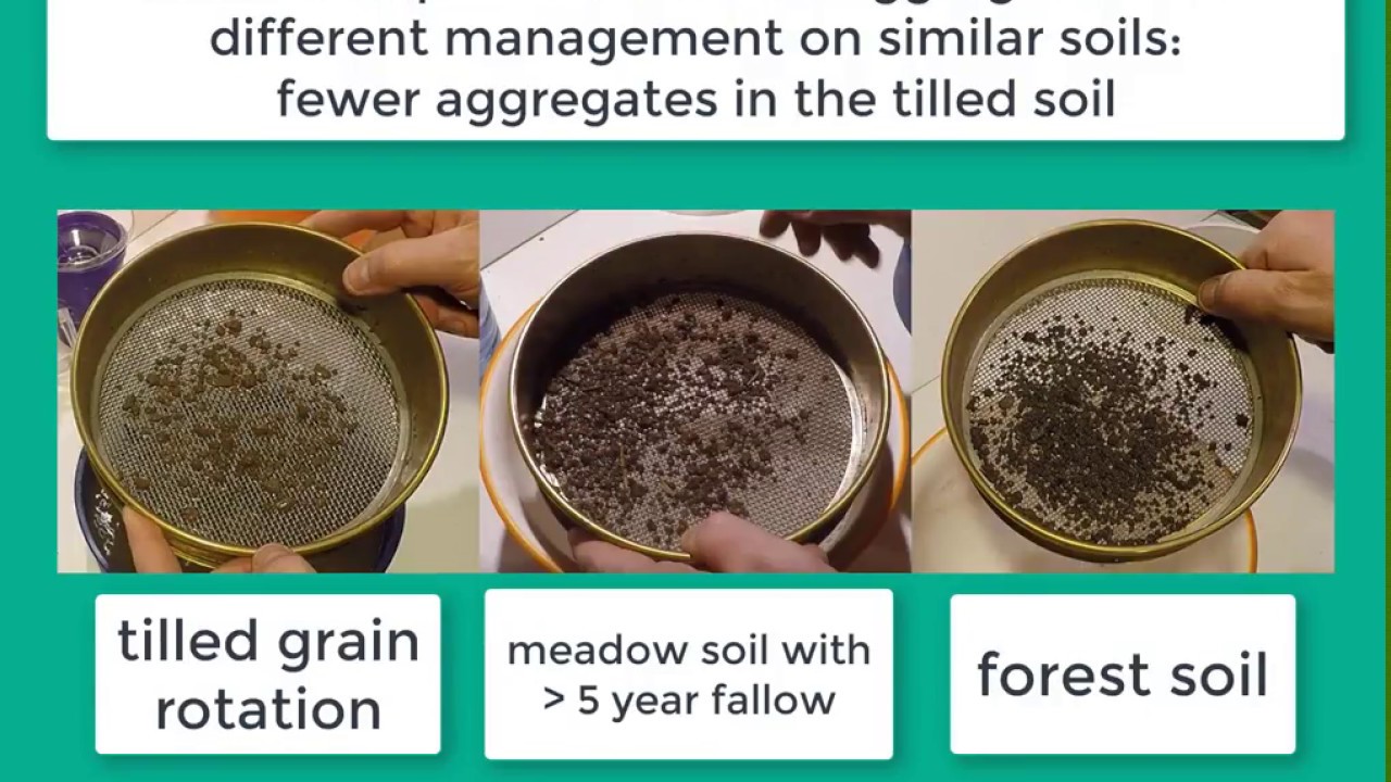 Soil Aggregate Stability for Smallholder Soil Health Assessment, Simplified Method