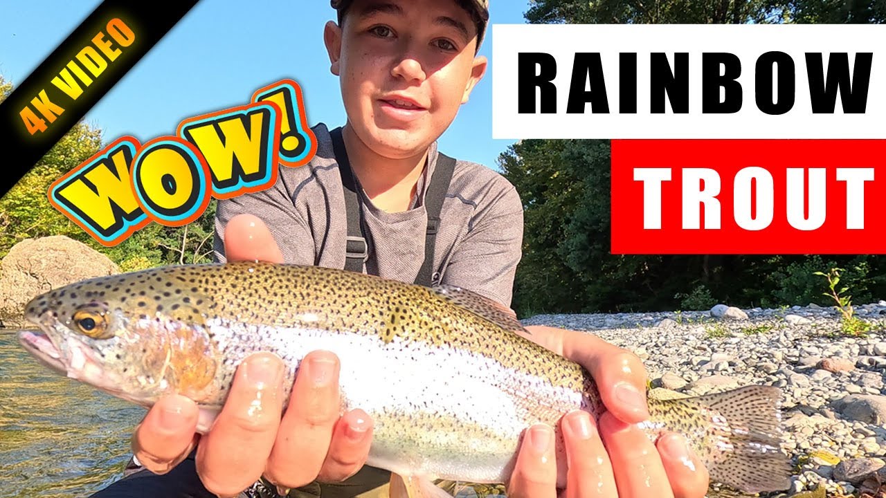 Μεγάλη Rainbow Πέστροφα με Rapala | Ψάρεμα Πέστροφας με τεχνητό