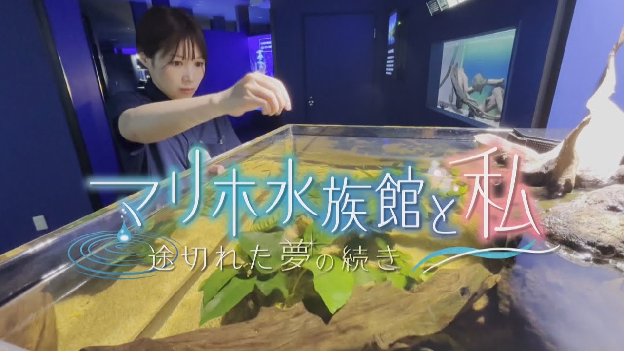 マリホ水族館と私 ～途切れた夢の続き～｜ドキュメント広島