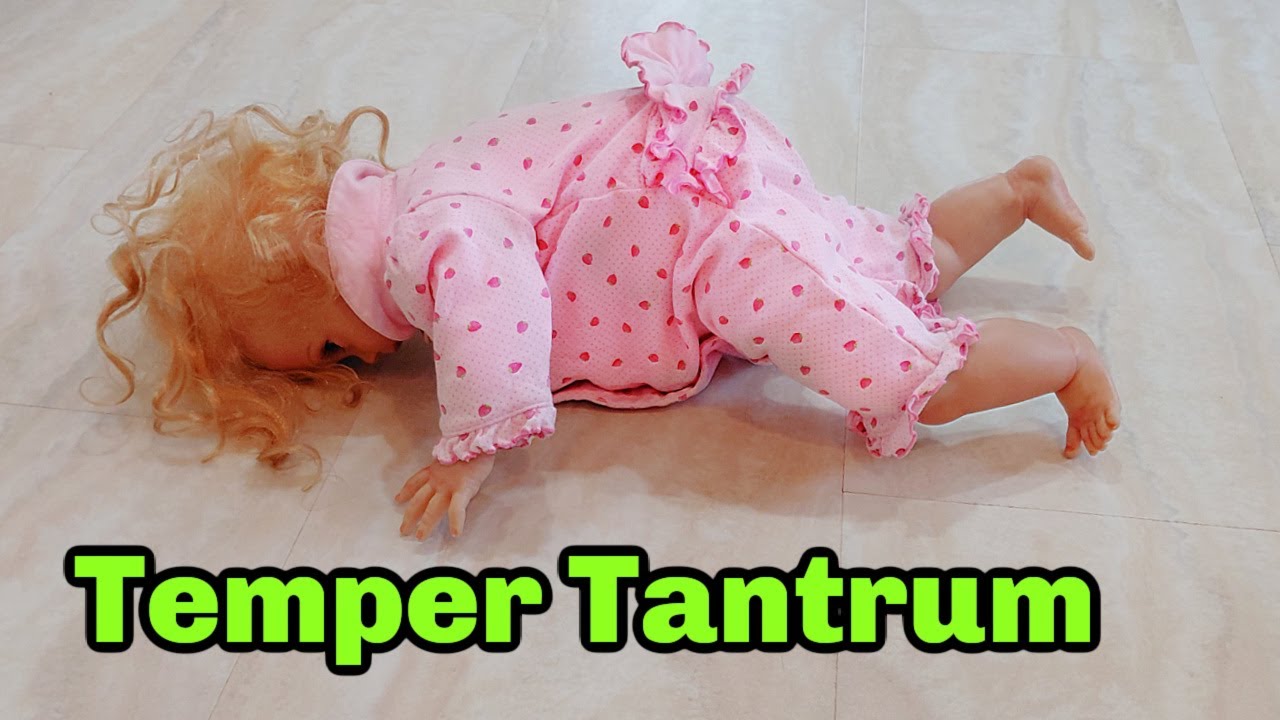 Reborn Toddler Girl Has A Temper Tantrum! 