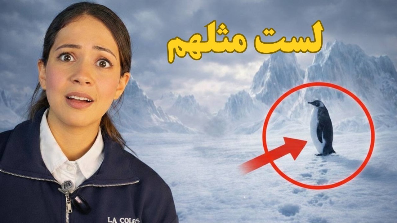 البطريق الذي انسحب… هل كان هاربًا أم واعيًا؟