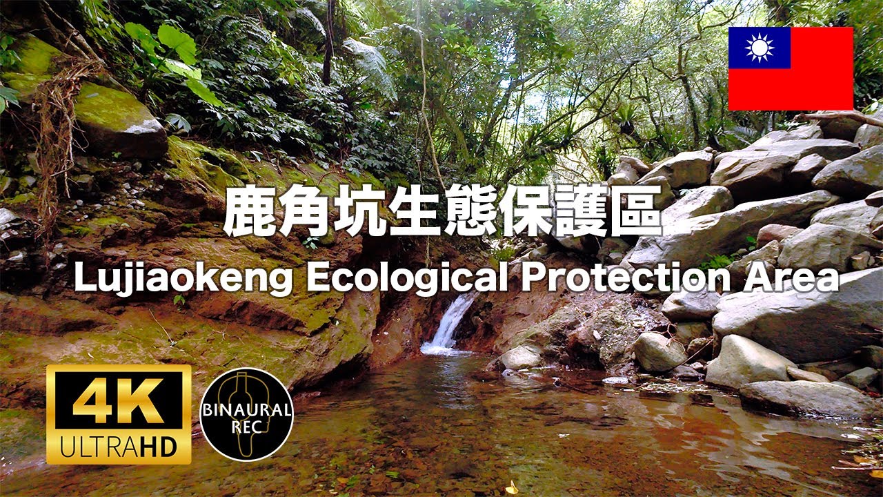 [Mountain Stream] in Taiwan: Nature Sounds for Deep Sleep , Study Aid , Stress Relief (ASMR)