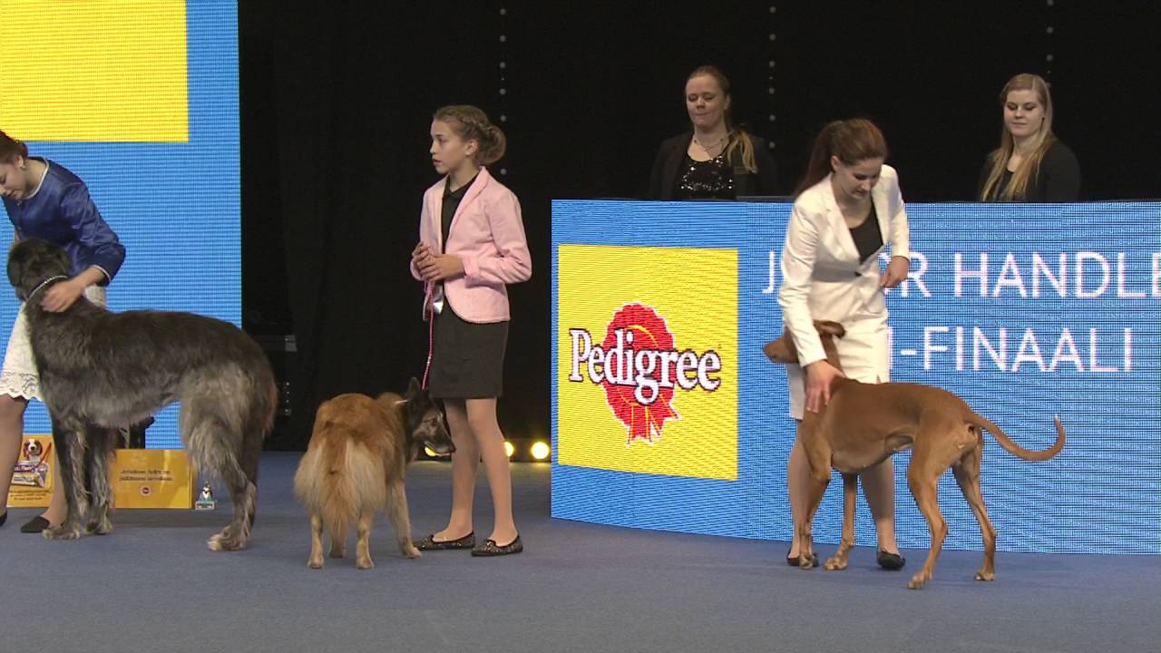 Junior handler -SM-finaali 2015