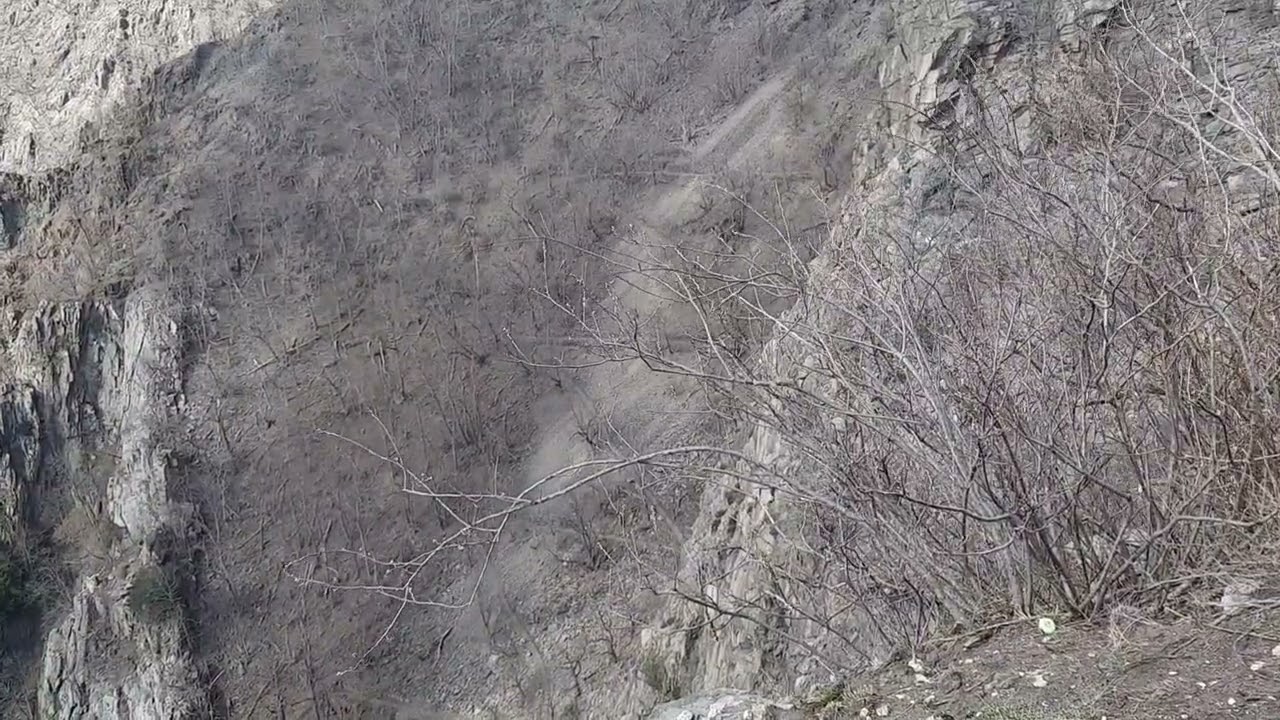 Harz. Blick von 🐎 Ro&szlig;trappe auf Bodetal mit 👹Teufelsbr&uuml;cke, Bodekessel, Schurre-Zick-Zack