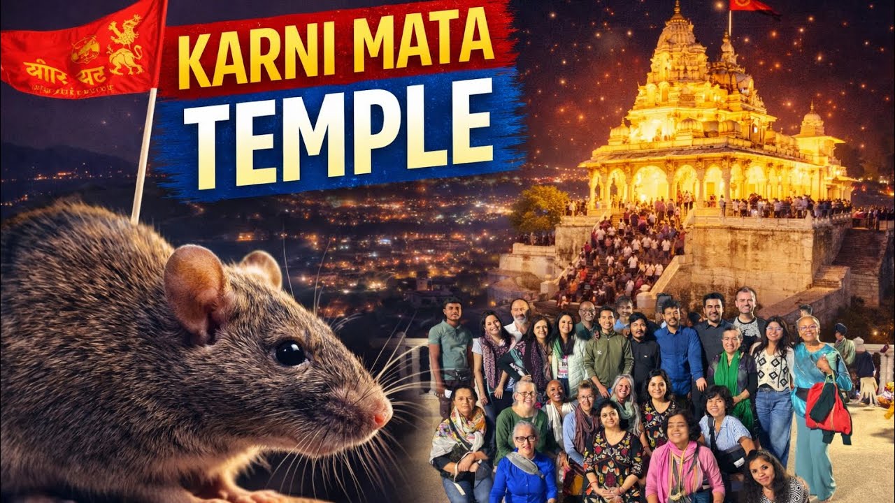 करणी माता मंदिर में अंग्रेजों के साथ किया भक्ति को एंजॉय 🧿😍