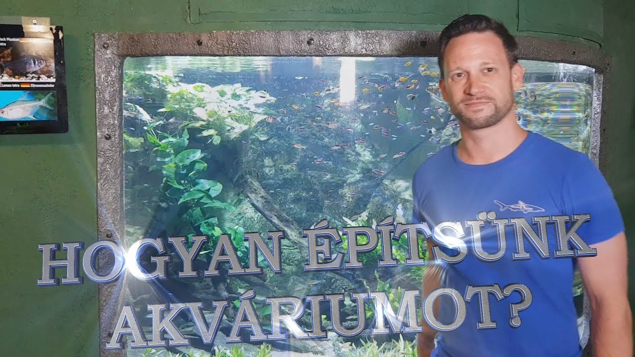 Így rendezünk be egy akváriumot a Tropicariumban