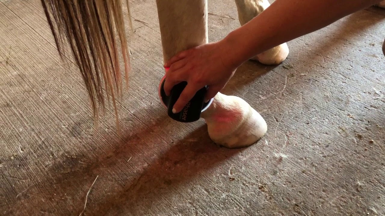 Doppy Fetlock Treatment