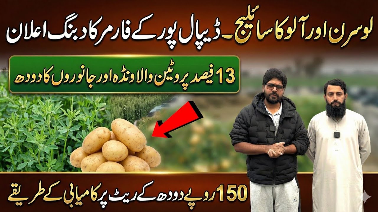 150 milk rate pay profitable dairy farming II 13% cp waly wanda py janwaro ka milk II Dr. MUZZAMMIL 