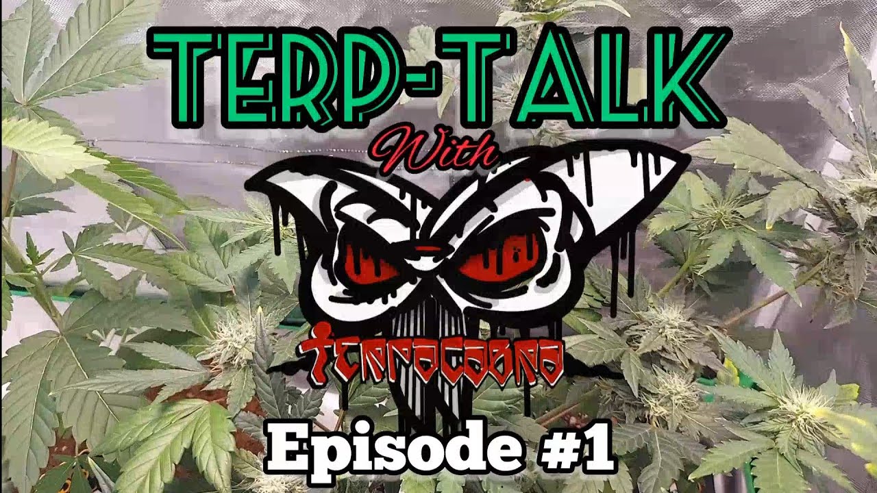 TERP-TALK 1: Creamcity Vape &times; Eternal Flameworks Puffco Glass topper + Paulsen Opal Ball Cap REVIEW!