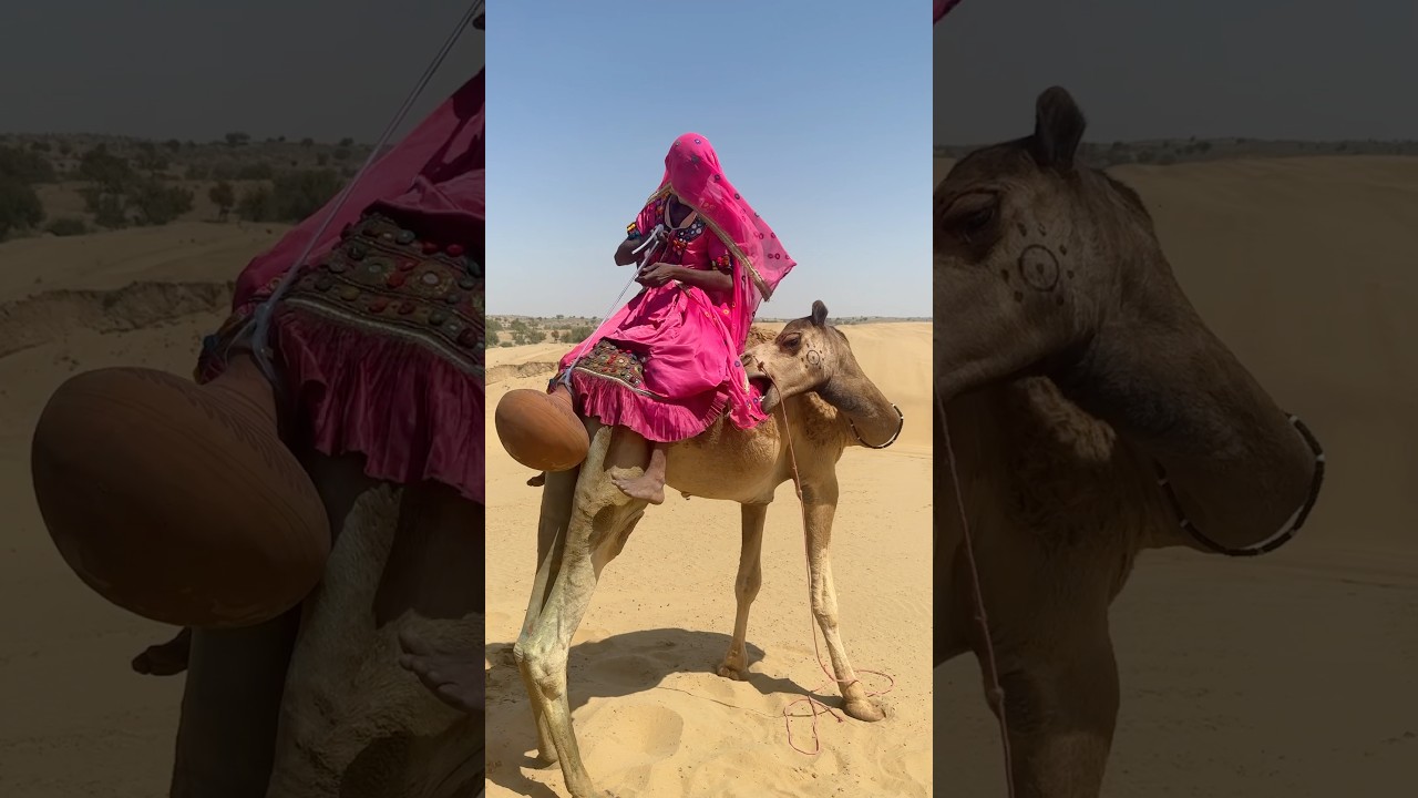 تقوم العروس بتبريد الجمل باستخدام إناء فخاري خلفه.