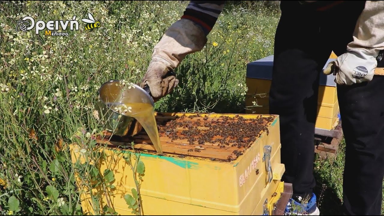 Πήγαμε μελίσσια με ΗΛΙΟ!!! Πατέντα με γύρη στο σιρόπι - Προσθήκη κηρηθρών