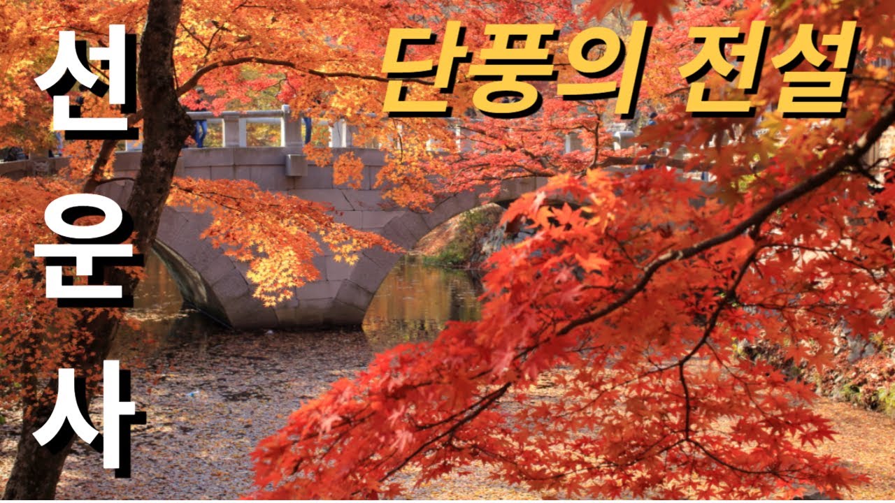 단풍의 전설 선운사 ㅣ 선운사 단풍코스 ㅣ 선운산 등산코스