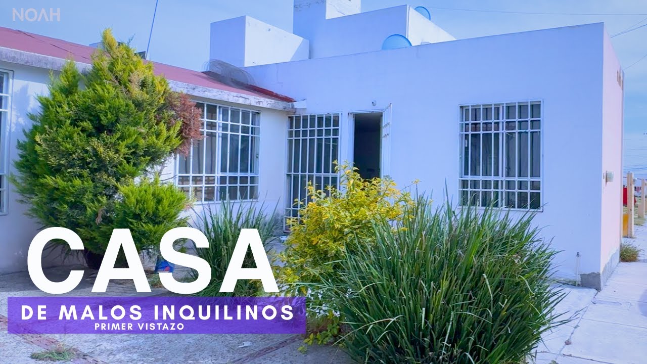 Inquilinos destrozan esta casa de un piso con 3 habitaciones | primer vistazo 