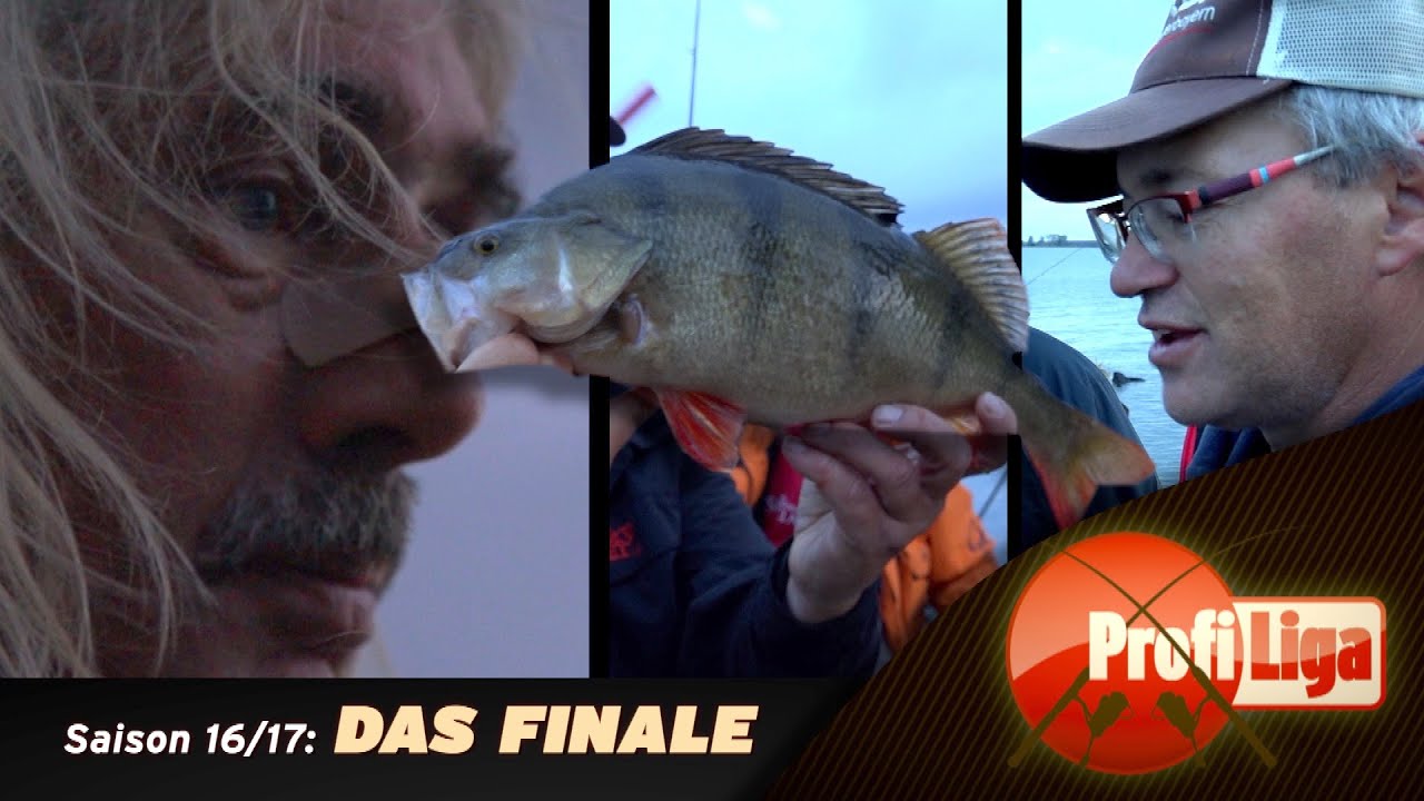 DAS FINALE (1): Profi Liga (3. Staffel/14): J&ouml;rg Ovens vs. Herbert Ziereis!