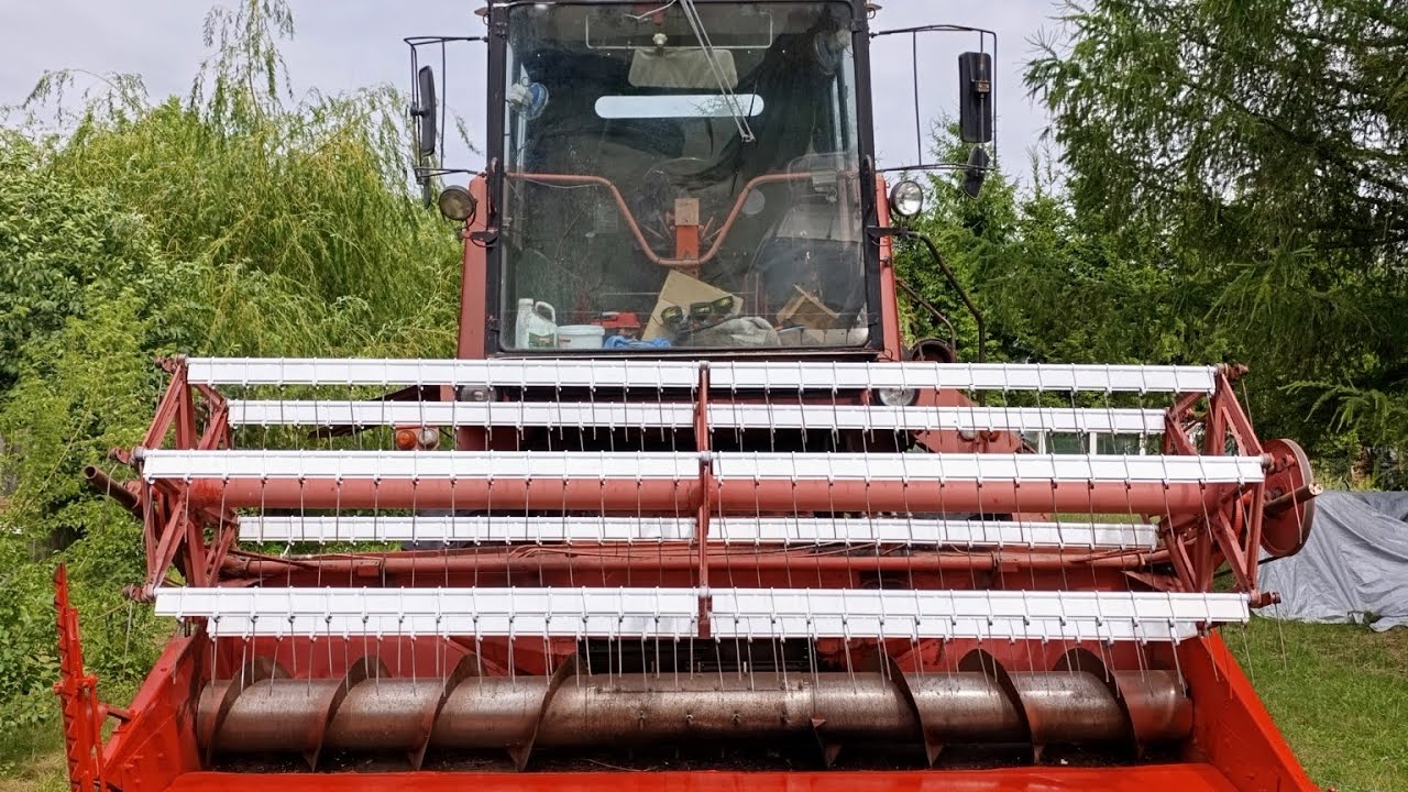BIZON GOTOWY NA ŻNIWA -ZABAWA CZAS START