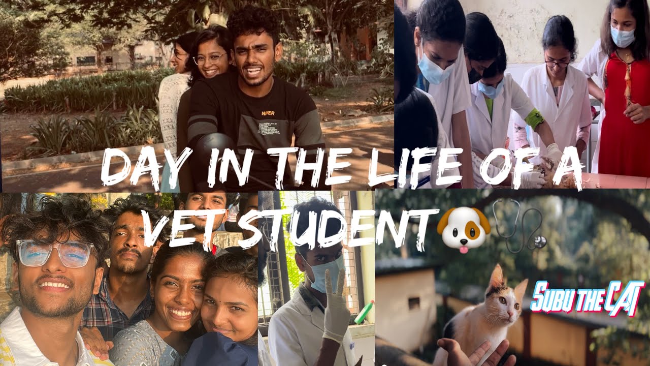 Day in the life of VET STUDENT🩺 | Vet vlog |COVAS ,Thrissur !